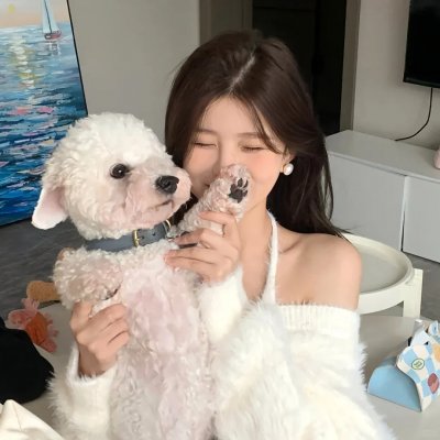 大坏狐狸的故事